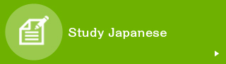 Study Japanese