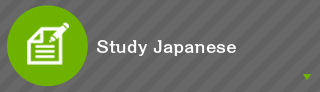Study Japanese
