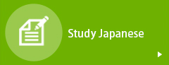 Study Japanese