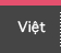 Việt